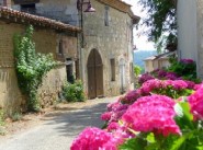 Achat vente maison de village / ville Saint Nicolas De La Grave