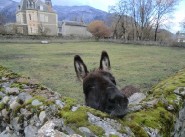 Achat vente Marignac
