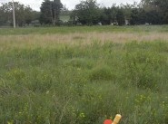 Achat vente terrain Avignonet Lauragais