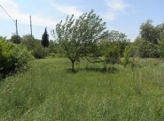 Immobilier Avignonet Lauragais