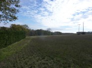 Immobilier Menville