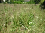 Immobilier Odos