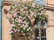 Maison Molieres