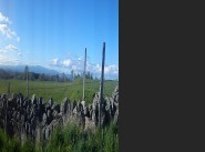 Terrain 