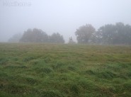Terrain 