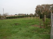 Terrain 