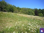 Terrain Ascou