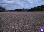 Terrain Marliac
