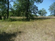 Terrain Martel