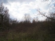 Terrain Montaigut Sur Save