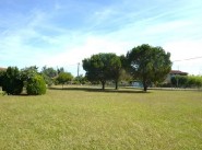 Terrain Muret