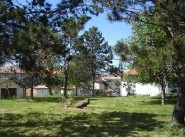 Terrain Realville
