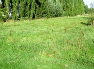Terrain Rieux