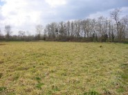 Terrain Riscle